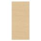 Preview: Prym Klebeflicken Nylon, 2 Stück, 6,5 x 14 cm, beige (929510)